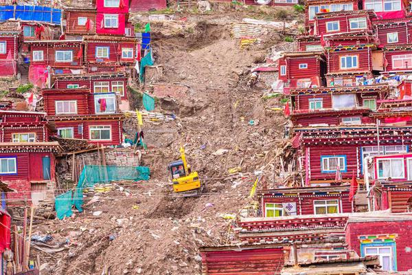 摇钱树电玩截图