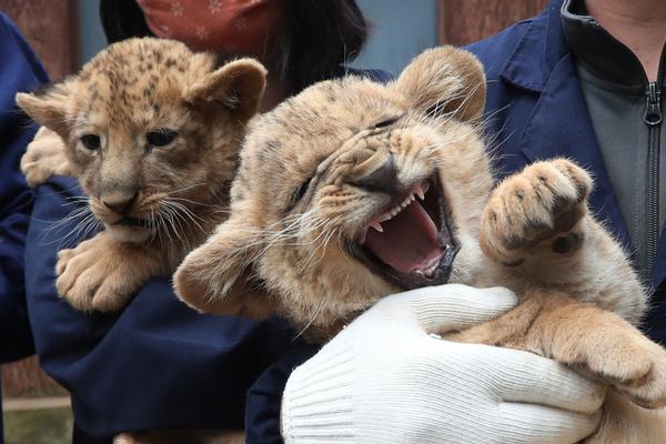 欧博体育登录平台截图