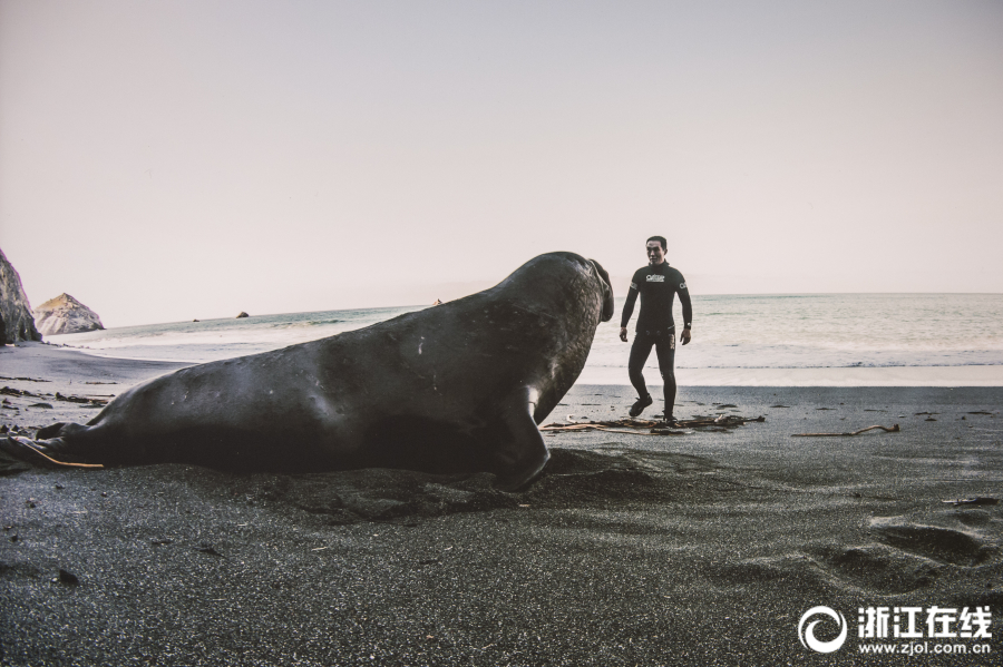 砸金蛋软件下载截图